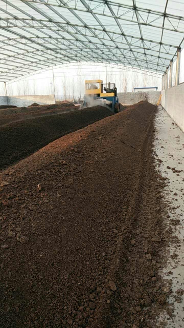 雞糞發(fā)酵有機肥的市場前景與生產(chǎn)策略分析