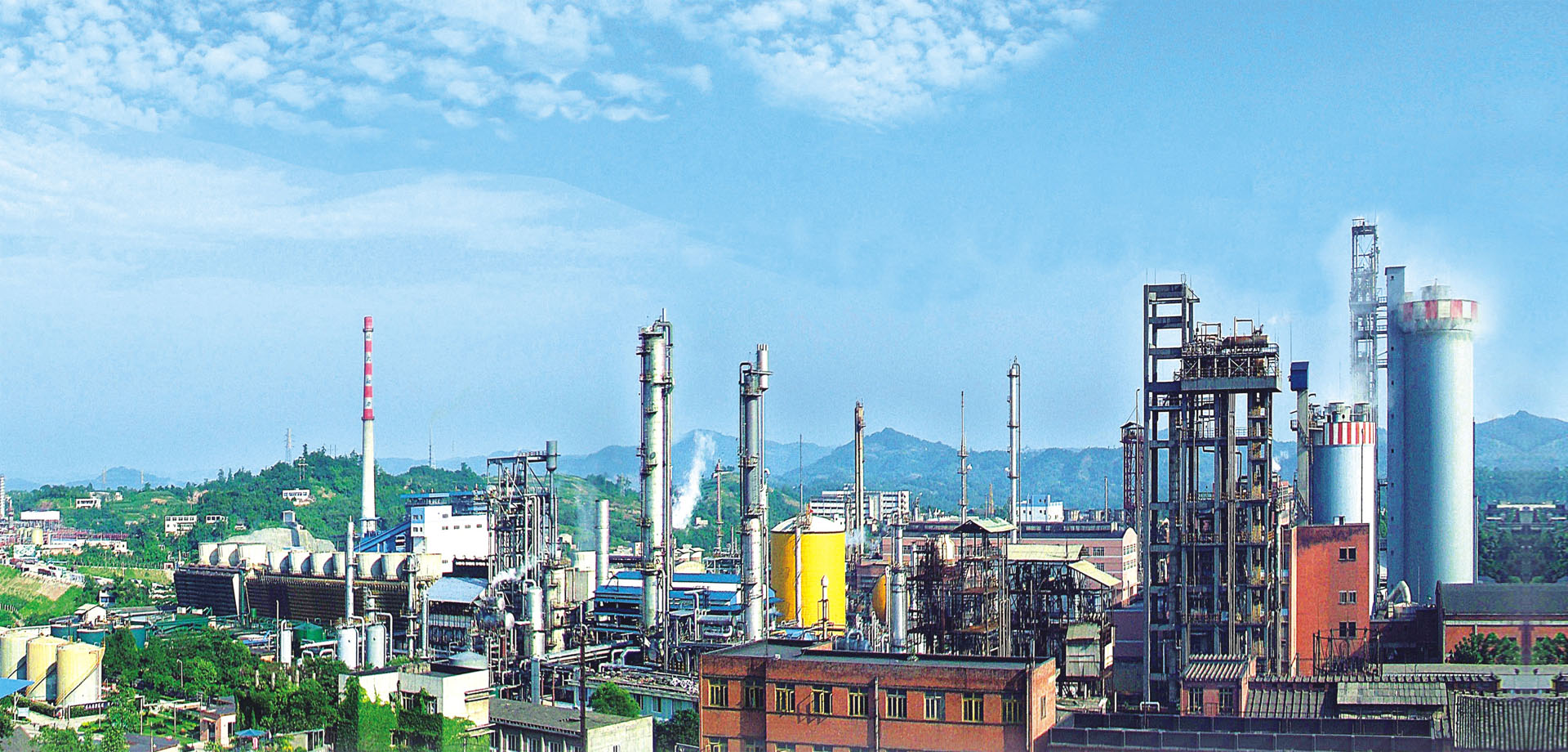 國肥行動 | 專訪瀘天化九禾馮學(xué)寧 緊跟時代步伐，勇立創(chuàng)新潮頭