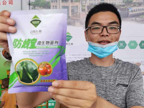 湖北宜都菌種廠 墻外花開香四方，農業種養與肥料生產的新引擎